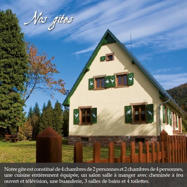 Le Du Donon Hébergement de vacances Grandfontaine (Bas-Rhin)
